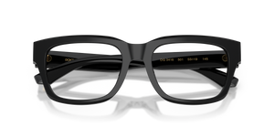 Black / Demo Lens (501)