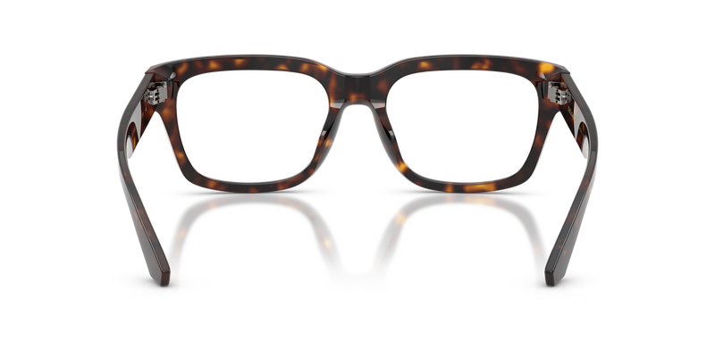 Dolce & Gabbana DG3416 in Havana / Demo Lens (502) - Alternate View