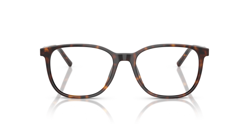 Dolce & Gabbana DG3426 in Havana / Demo Lens (502) - Alternate View