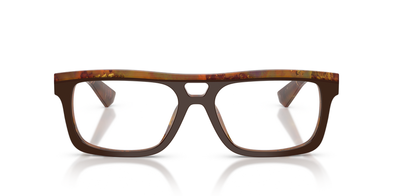 Dolce & Gabbana DG3431 in Top Brown/Pearl Gold & Brown / Demo Lens (3456) - Alternate View