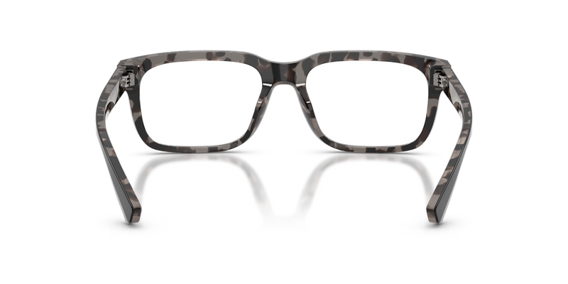 Dolce & Gabbana DG3432 in Black On Grey Havana / Demo Lens (3403) - Temple Detail