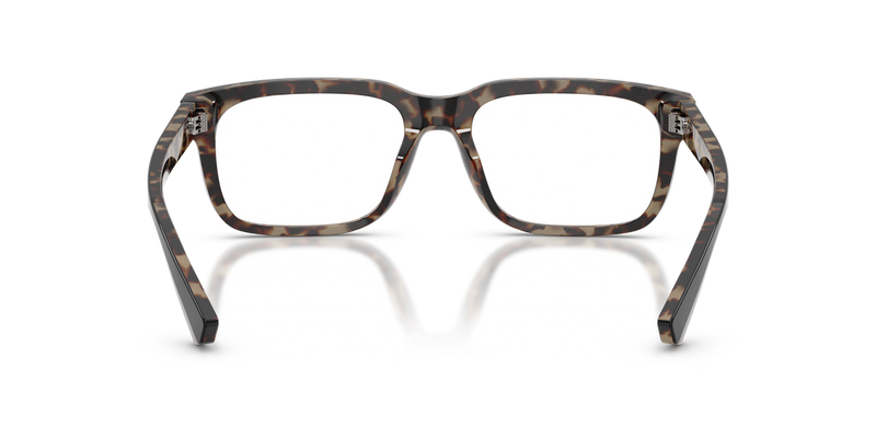 Dolce & Gabbana DG3432 in Black On Red Havana / Demo Lens (3417) - Alternate View