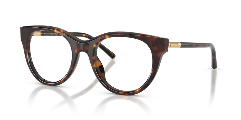 Dolce & Gabbana DG3433 in Havana / Demo Lens (502) - Alternate View