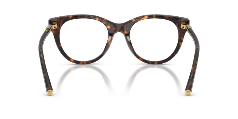 Dolce & Gabbana DG3433 in Havana / Demo Lens (502) - Alternate View