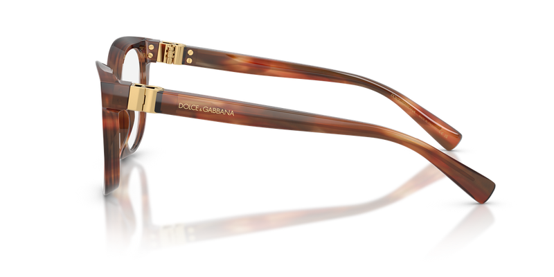 Dolce & Gabbana DG3437 in Striped Brown / Demo Lens (3221) - Back View