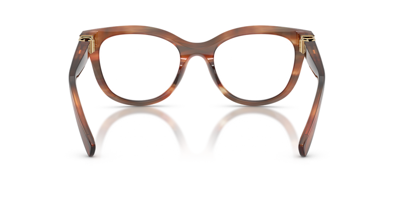 Dolce & Gabbana DG3437 in Striped Brown / Demo Lens (3221) - Temple Detail