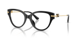 Black / Demo Lens (501)