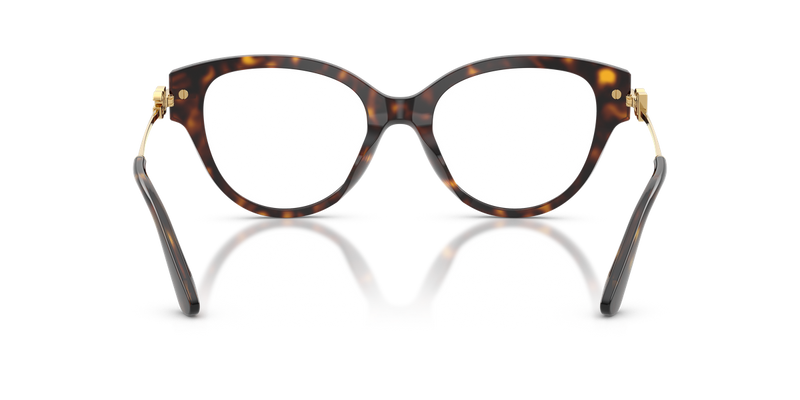 Dolce & Gabbana DG3438 in Havana - Alternate View