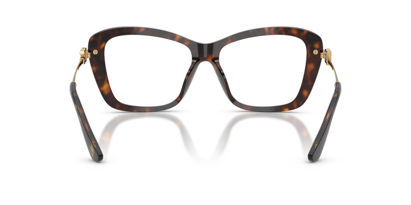 Dolce & Gabbana DG3439 in Havana - Alternate View