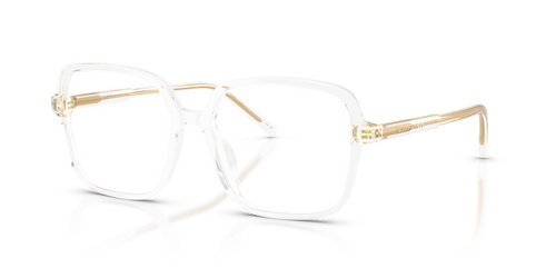 Dolce & Gabbana DG3442