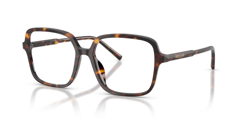 Dolce & Gabbana DG3442 in Havana / Demo Lens (502) - Alternate View
