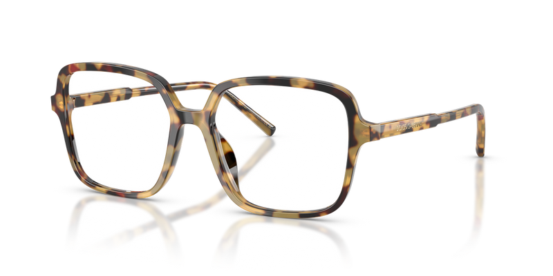Dolce & Gabbana DG3442 in Yellow Havana / Demo Lens (512) - Alternate View