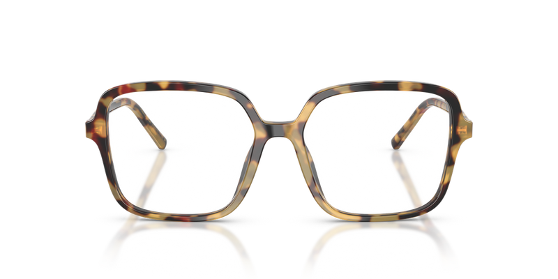 Dolce & Gabbana DG3442 in Yellow Havana / Demo Lens (512) - Alternate View