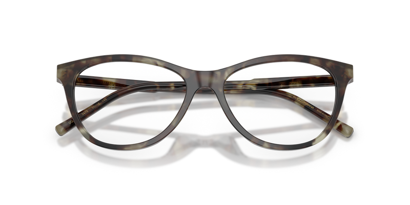 Dolce & Gabbana DG3443 in Green Havana / Demo Lens (3478) - Alternate View