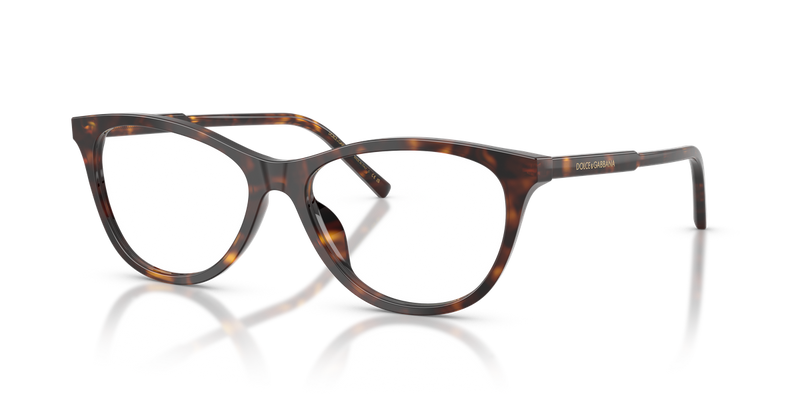 Dolce & Gabbana DG3443 in Havana / Demo Lens (502) - Alternate View