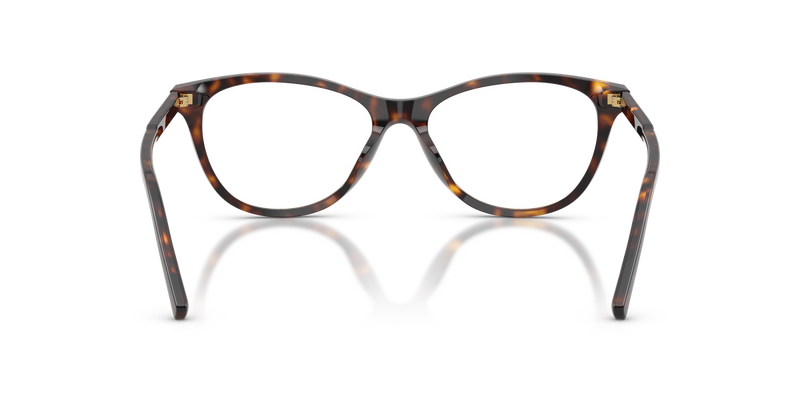 Dolce & Gabbana DG3443 in Havana / Demo Lens (502) - Alternate View