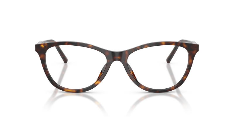 Dolce & Gabbana DG3443 in Havana / Demo Lens (502) - Alternate View