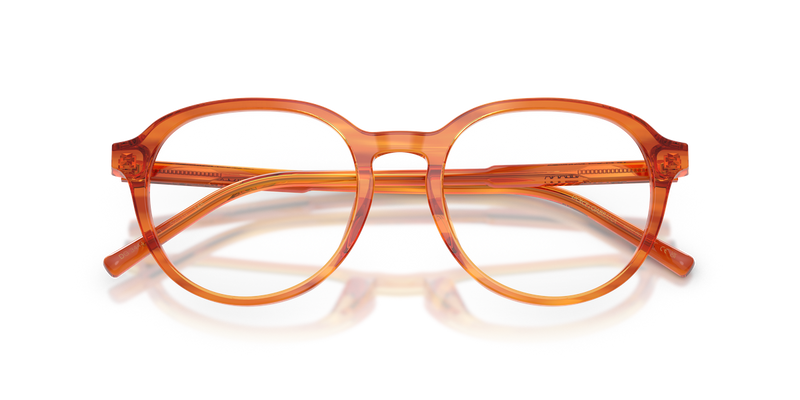 Dolce & Gabbana DG3444 in Camel On Striped Ginger / Demo Lens (3483) - Alternate View