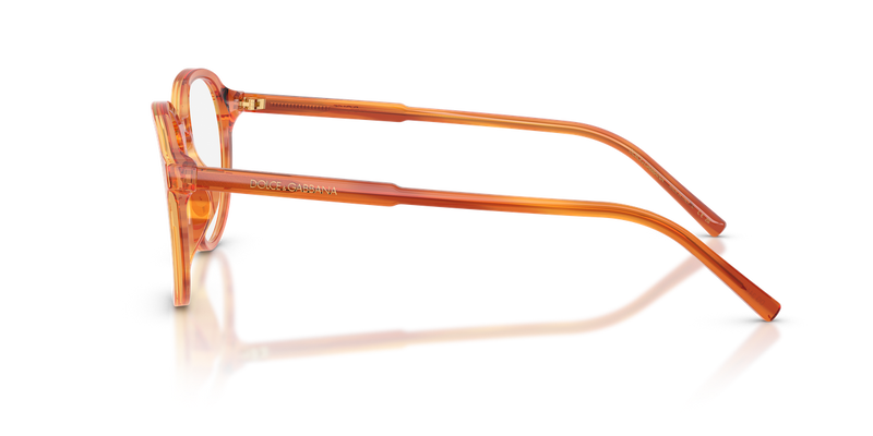 Dolce & Gabbana DG3444 in Camel On Striped Ginger / Demo Lens (3483) - Alternate View