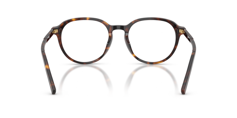 Dolce & Gabbana DG3444 in Havana / Demo Lens (502) - Alternate View