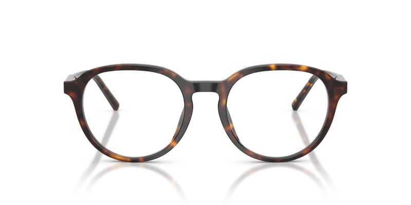 Dolce & Gabbana DG3444 in Havana / Demo Lens (502) - Alternate View