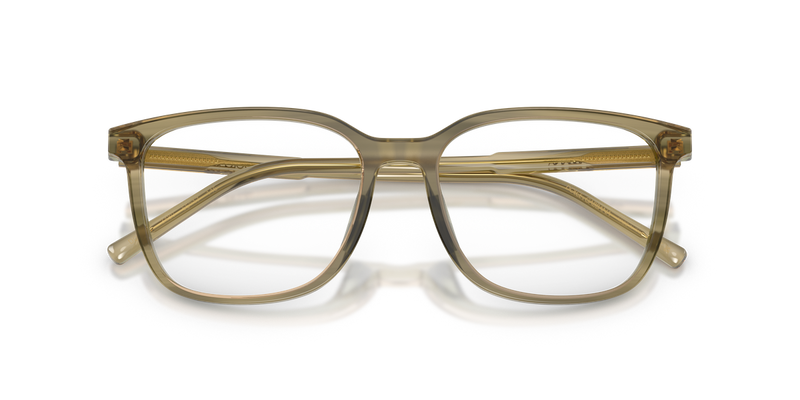 Dolce & Gabbana DG3445 in Green On Striped Green / Demo Lens (3480) - Alternate View
