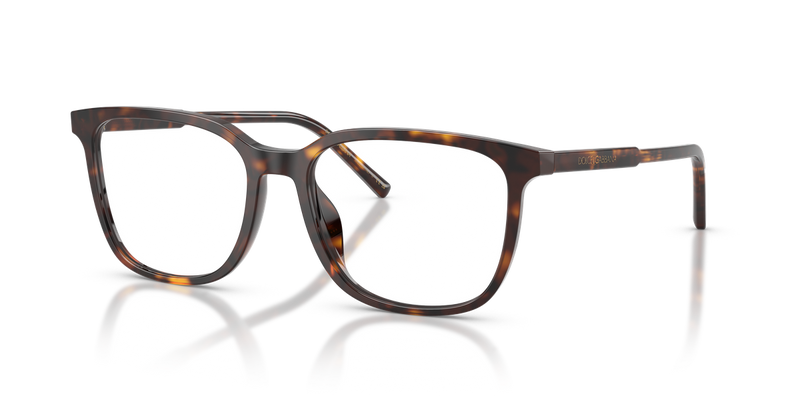 Dolce & Gabbana DG3445 in Havana / Demo Lens (502) - Alternate View