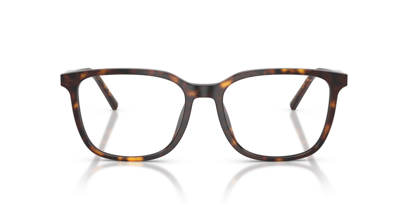 Dolce & Gabbana DG3445 in Havana / Demo Lens (502) - Alternate View