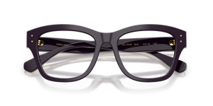 Aubergine / Demo Lens (3501)