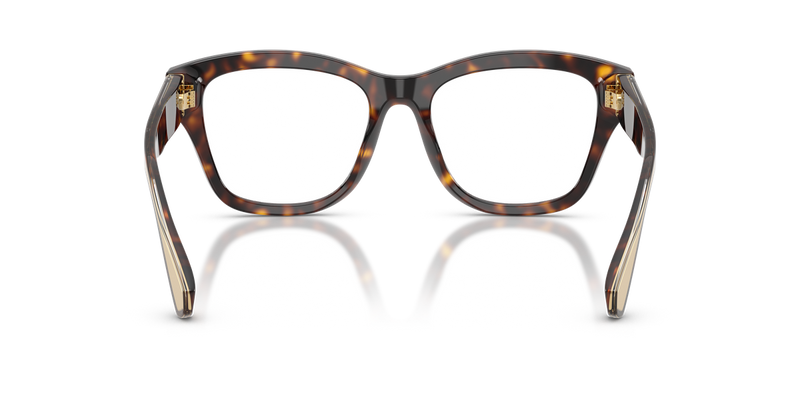 Dolce & Gabbana DG3449 in Havana - Alternate View