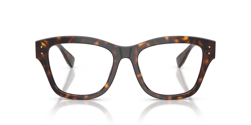 Dolce & Gabbana DG3449 in Havana - Alternate View