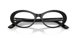 Black / Demo Lens (501)