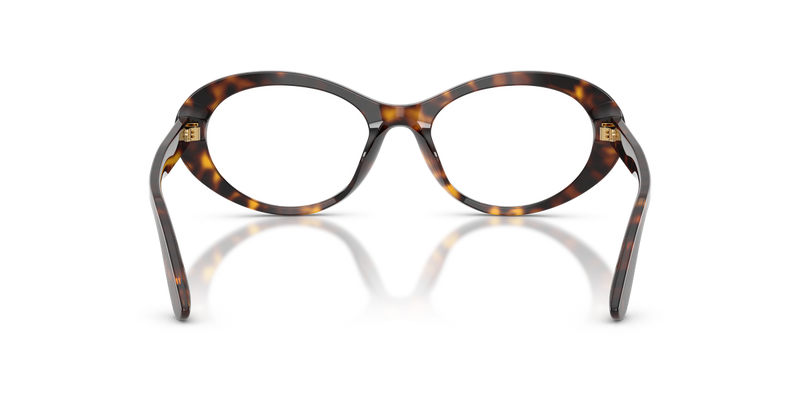 Dolce & Gabbana DG3450 in Havana - Alternate View