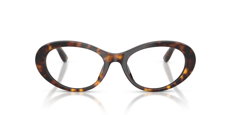 Dolce & Gabbana DG3450 in Havana - Alternate View