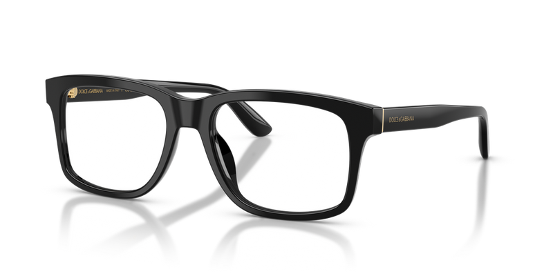 Dolce & Gabbana DG3453 in Black - Alternate View