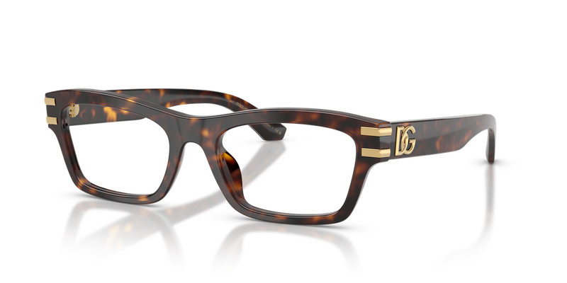 Dolce & Gabbana DG3454 in Havana - Alternate View