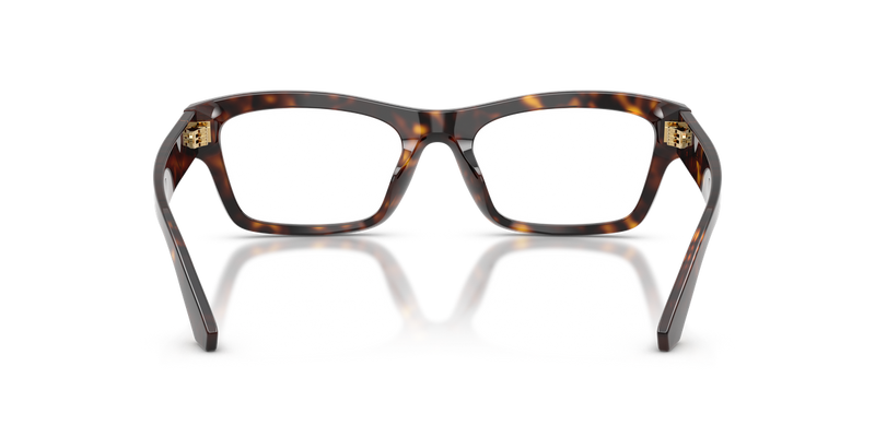 Dolce & Gabbana DG3454 in Havana - Alternate View