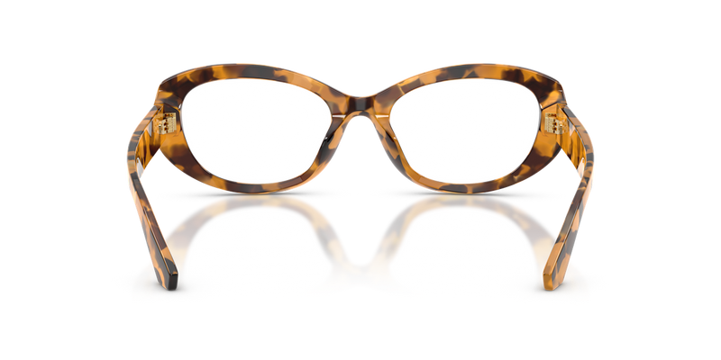 Dolce & Gabbana DG3455 in Yellow Havana - Temple Detail