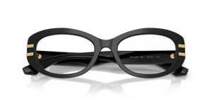 Black / Demo Lens (501)