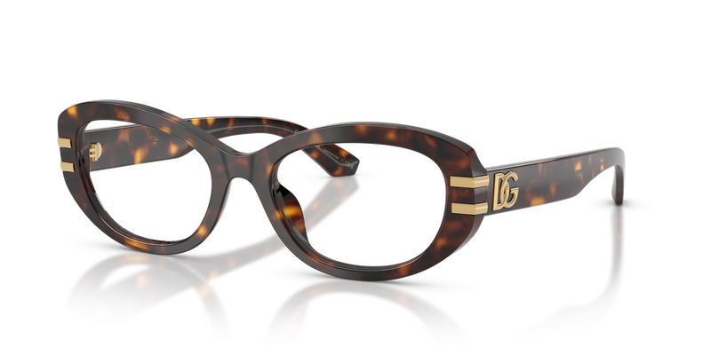 Dolce & Gabbana DG3455 in Havana - Alternate View