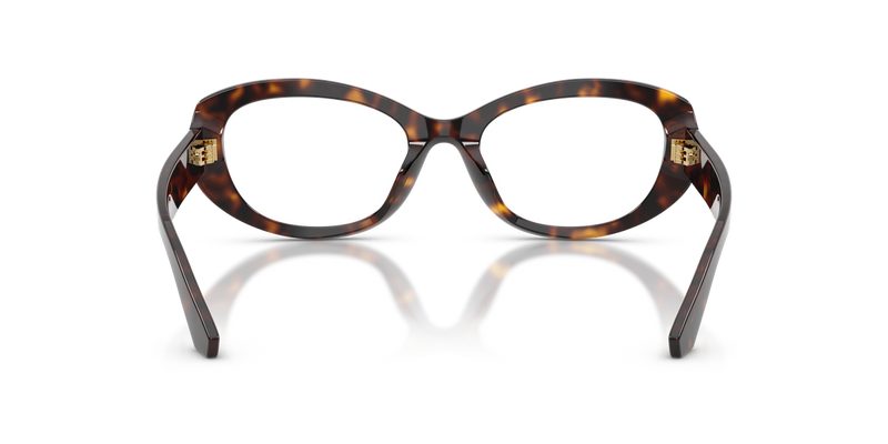 Dolce & Gabbana DG3455 in Havana - Alternate View