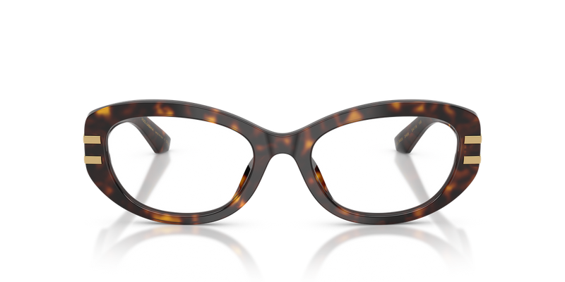 Dolce & Gabbana DG3455 in Havana - Alternate View