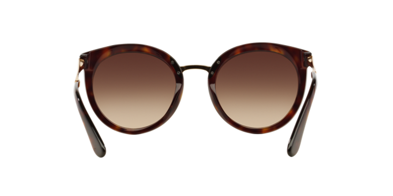 Dolce & Gabbana DG4268 in Havana - Alternate View
