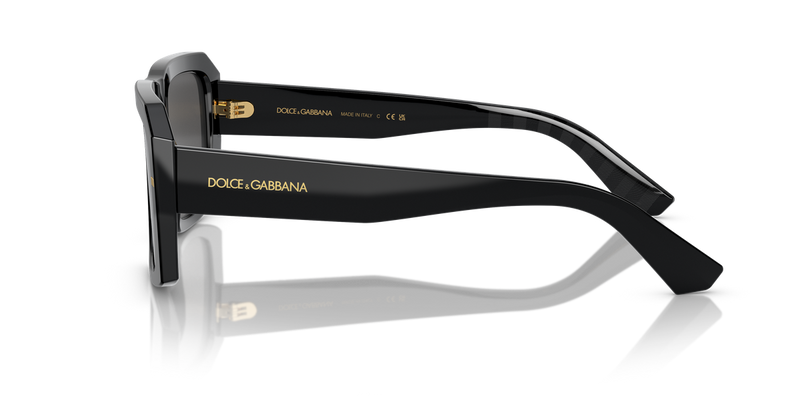Dolce & Gabbana DG4430F in Black / Dark Grey (501/87) - Back View