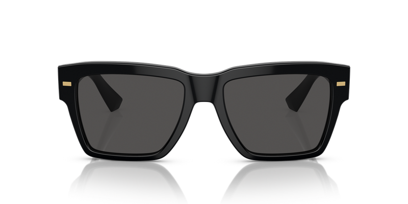 Dolce & Gabbana DG4431 in Black / Dark Grey (501/87) - Alternate View