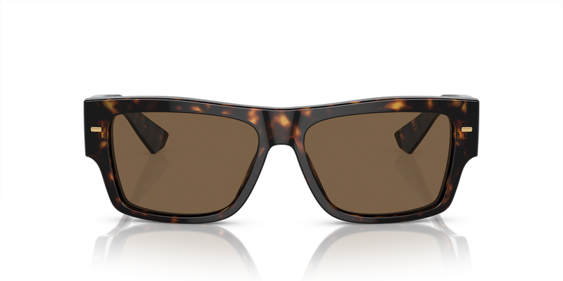 Dolce & Gabbana DG4451 in Havana / Dark Brown (502/73) - Alternate View