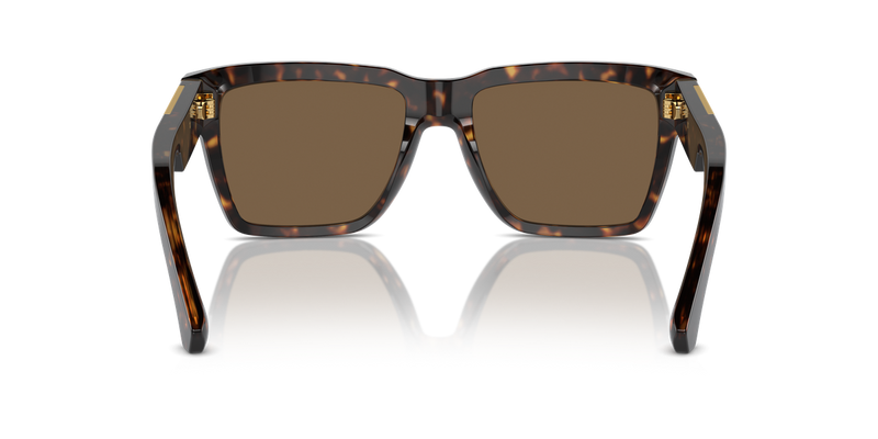 Dolce & Gabbana DG4465F in Havana / Dark Brown (502/73) - Alternate View