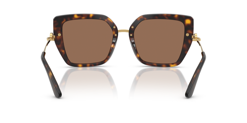 Dolce & Gabbana DG4474F in Havana / Dark Brown (502/73) - Alternate View