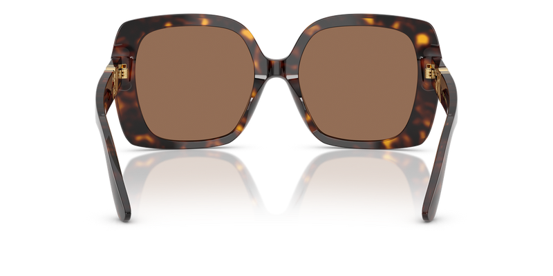 Dolce & Gabbana DG4475 in Havana / Dark Brown (502/73) - Alternate View