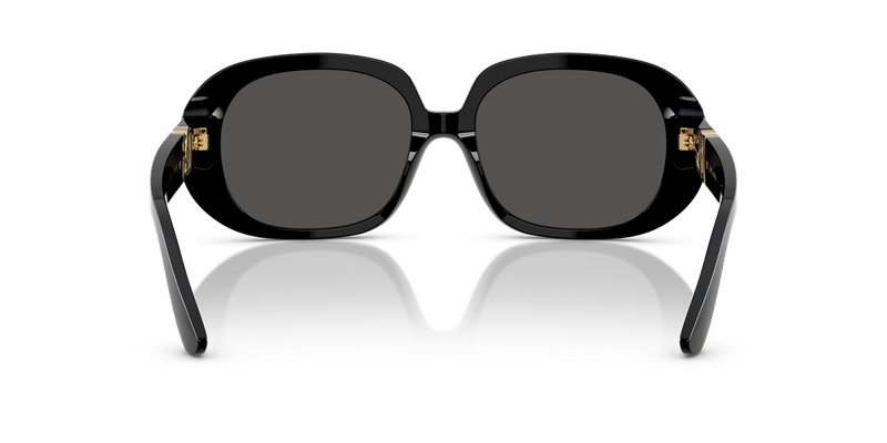 Dolce & Gabbana DG4476 in Black / Dark Grey (501/87) - Temple Detail